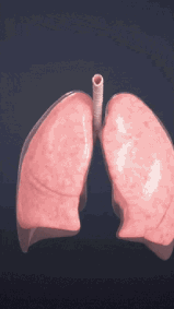 ia-na-medicina-orgaos-em-realidade-virtual