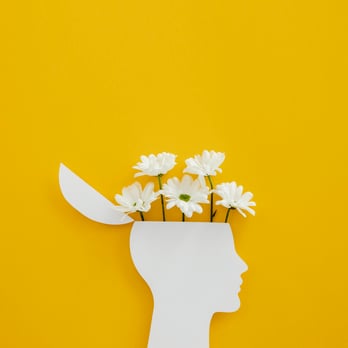 arranjo-de-lindas-flores-desabrochadas